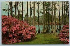 Greenfield Gardens Wilmington North Carolina NC Chrome Postcard CH Ruth picture