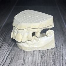 GENUINE Plaster Dental Mold Teeth Mouth Cast Medical Oddity Oddities Halloween  picture