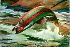 Beautiful Rainbow Trout on the Hook Jumping out of Fast-Moving Stream Vintage picture