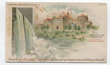 c1905 Niagara Falls NY Natural Food Conservatory unused postcard [s.5222] picture