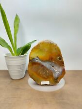 Rare mix yellow brown with crystal petrified wood polish 1833gr (13x6x16cm) 313 picture