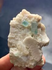 214 Cts Tourmaline  crystal with quartz from Afghanistan picture