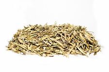 NessaSTores Yerba Santa Leaves Only Incense (1 oz.) #JC-61 picture