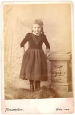CIRCA 1880'S Named CABINET CARD Adorable Girl In Dress Alexander Albia, IA picture