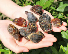 Indonesian Raw Amber - Choose How Many (Natural Rough Black Amber Crystals) picture