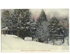 Postcard - Winter Scene Forest Park -Springfield, Massachusetts MA - c1910 picture
