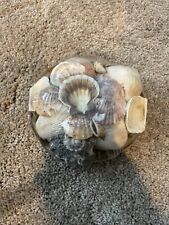 Assorted Sea Shells Basket 14 oz Decorator's Choice Beach Ocean Sand Sea Life picture