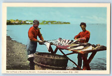 Gaspe (Quebec) Canada Postcard Fishermen Splitting Codfish c1940's Vintage picture