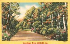 Postcard LA Greetings from Delhi Louisiana Tree Lined Road Vintage PC b8832 picture