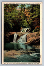 Postcard North Carolina Chimney Rock Waterfall Bottomless Pools 1950 F772 picture
