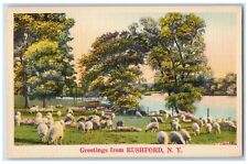 1939 Greetings From Rushford Field Sheep Flock New York Vintage Antique Postcard picture