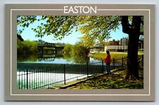 The Lehigh River Easton Northhampton County Pennsylvania Unposted Postcard picture
