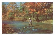 Greetings Readstown Wisconsin WI Postcard Fishing Autumn c1950s picture
