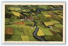 c1950s Million Acre Farm Prince Edward Island Canada NFB Photo Postcard picture