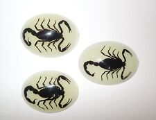 Insect Cabochon Black Scorpion Specimen Oval 30x40 mm Glow 3 pieces Lot picture