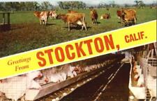 Greetings From Stockton,CA San Joaquin County California Chrome Postcard Vintage picture