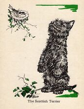 1940 Antique Scottish Terrier Print Vintage Diana Thorne Scottie Dog Print 5392a picture
