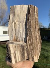 ☘️RR⛏️: Gorgeous Arizona Petrified Wood W/Smoky Quartz, 10 Lb picture