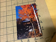 Vintage Original Post Card: THE HISTORIC COVERED BRIDGE in autumn splender picture
