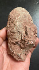 Jurassic Age of Dinosaur Egg Fossils picture