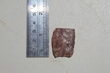 Authentic Native American Arrowhead found on a Paleo campsite outside of Elida, picture