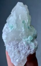 259 carats Amazing Tourmaline Crystal Bunch On Quartz From Afghanistan picture
