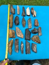 Texas Petrified Fossil Entire LOT Wood Large Tree Branch Pieces You Get As Shown picture