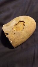 real dinosaur fossil egg, 3inches thick, 3in wide 2.8  real fossil egg height picture