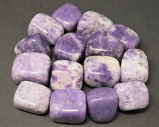 1/4 lb Bulk Lot Lepidolite Tumbled Stone (Crystal Healing Reiki Tumble) 4 oz picture