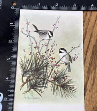 Vintage Postcard Chickadee By R Winslow. Cape Shore Paper￼￼ Main picture