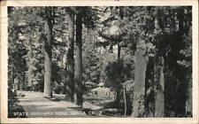 1924 Redwoods by the Side of California State Highway near Santa Cruz,CA Vintage picture