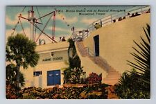 Marineland FL-Florida, Marine Studios, Advertising, Antique, Vintage Postcard picture