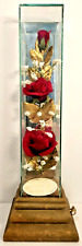 Stunning Red Roses in a Mirrored Glass Case Wood Base Plays Music 13