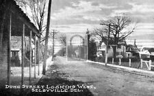 Duke Street View Selbyville Delaware DE Reprint Postcard picture
