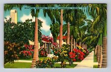 Fort Lauderdale FL-Florida, Residential Street, Antique, Vintage Postcard picture