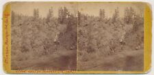 CALIFORNIA SV - Marysville Scenery - Stinson 1860s RARE picture