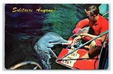 Postcard Bebe Game of Solitaire Miami Seaquarium FL A62 picture