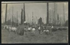 OR Hamlet RARE RPPC c.1908 FAMILY MAKING HAY HORSE DRAWN WAGON N. Nehalem River picture