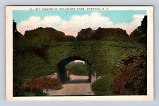 Buffalo NY-New York, Ivy Bridge in Delaware Park, Antique Vintage Postcard picture