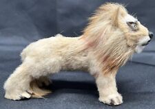 Antique Miniature Taxidermy Real Fur Glass Eyes Lion Toy Sculpture picture