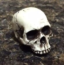 Made in USA Skull Skeleton head No Lower Jaw Punk Goth Motorcycle Hot Rat Rod 15 picture