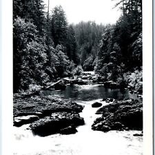 c1950s Linn, Marion Co CA RPPC Santiam River Tributary of Willamette Photo A164 picture