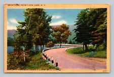 Greetings from loon lake New York postcard picture