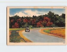 Postcard Nature Roadside Scene picture