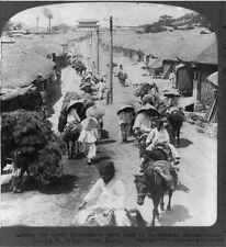 Photo:Among Queer Koreans,Pack Train,Suburbs,East Gate,Seoul,Korea,c1904 picture