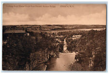 1911 Looking Down Ithaca Gorge from Stewart Avenue Bridge Ithaca NY Postcard picture