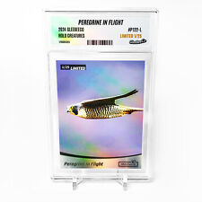 PEREGRINE IN FLIGHT Fastest Bird in the World Card 2024 GleeBeeCo #P122-L /25 picture