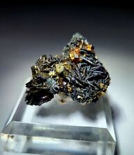 ***WOW-Sparkling Iridescent Covellite crystals w/ Pyrite, mine Butte Montana*** picture