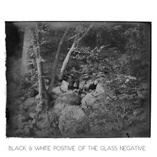 Glen Grove 4 x 5 Glass Plate Negative c1890 Steuben County New York Ravine A2943 picture