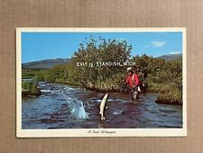 Postcard Standish Michigan River Fly Fishing Scenic Greetings Vintage MI PC picture